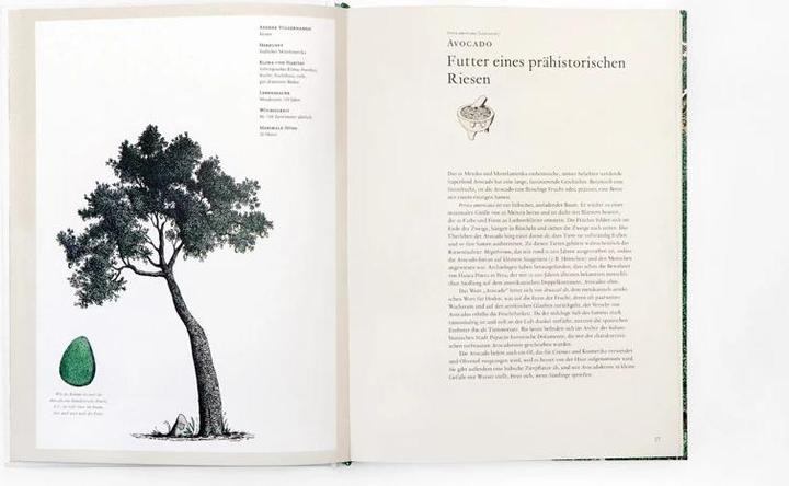 Produktbild Die Geschichte der Bäume (Deutsch, David West)