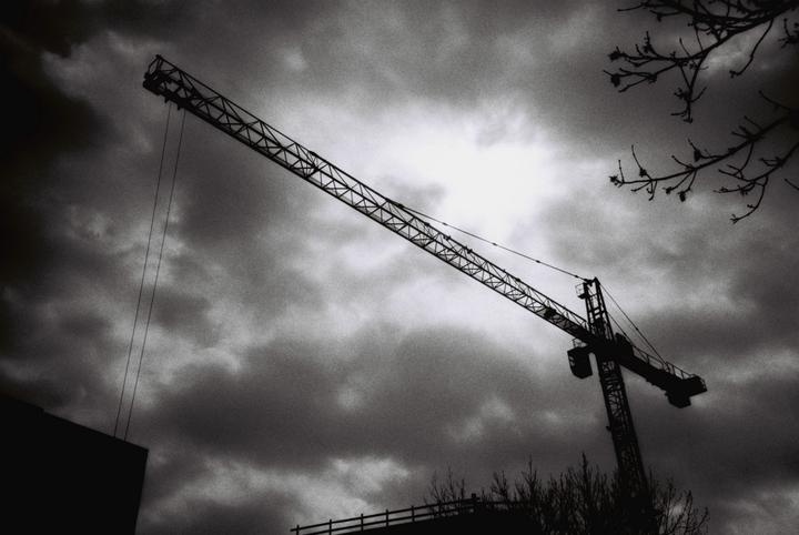 Actual product image Lomo Earl Grey B&W ISO100 3-pack
