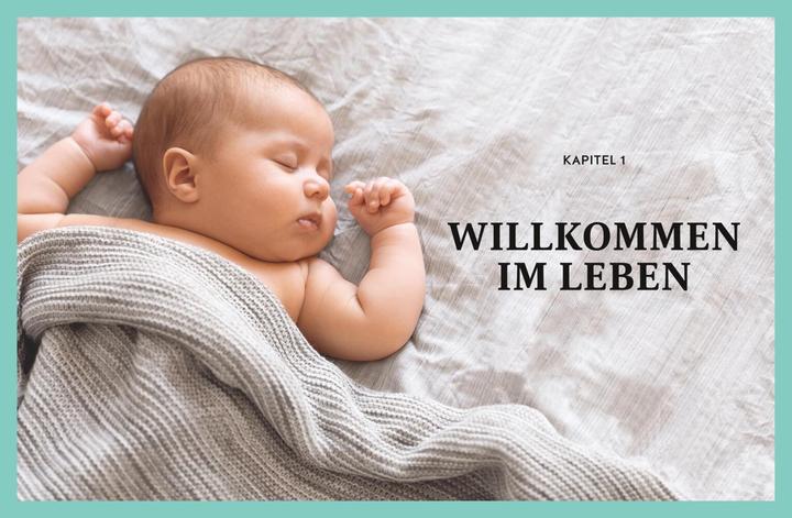 Image du produit Das grosse Buch für Babys erstes Jahr (Allemand, Stephan Heinrich Nolte, Annette Nolden, 2023)