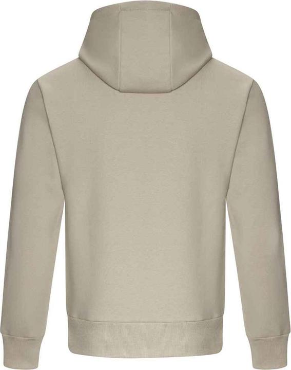 Actual product image Awdis Unisex Adult Signature Heavyweight Hoodie (M)