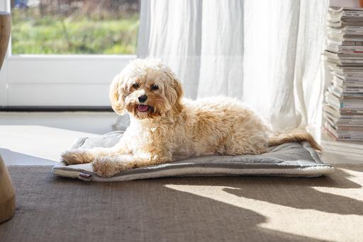 Productafbeelding Designed by Lotte Ligkussen Nalino (Hond)