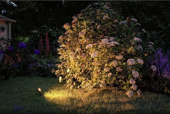 Produktbild Paulmann Outdoor Plug & Shine Sting Spot (655 lm, IP67)