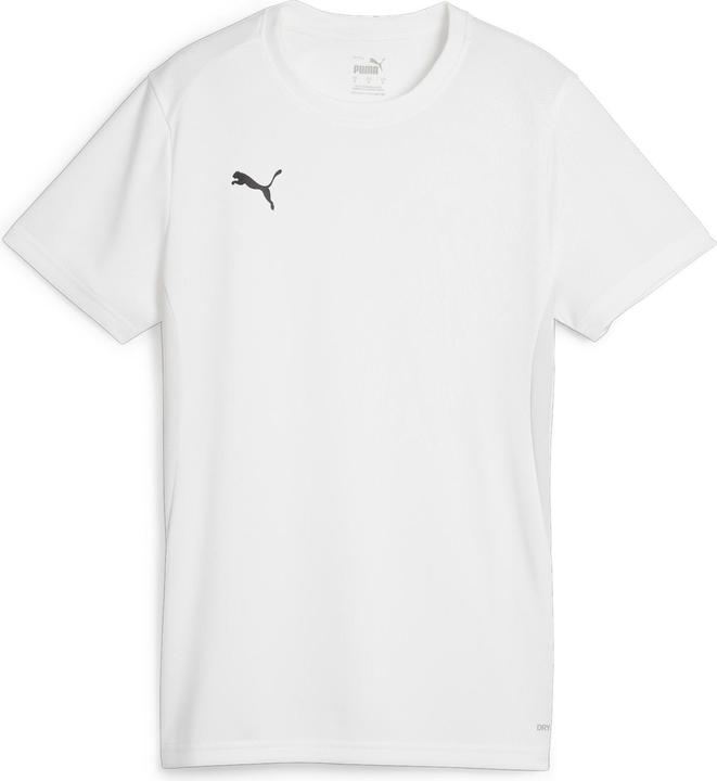Puma teamGOAL Jersey Wmn