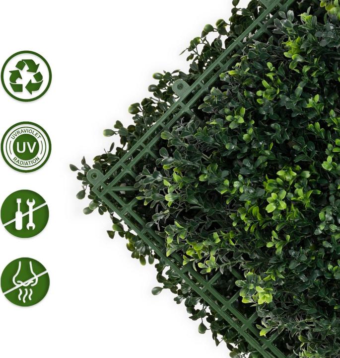 Actual product image Karat Boxwood plant wall (50 cm)