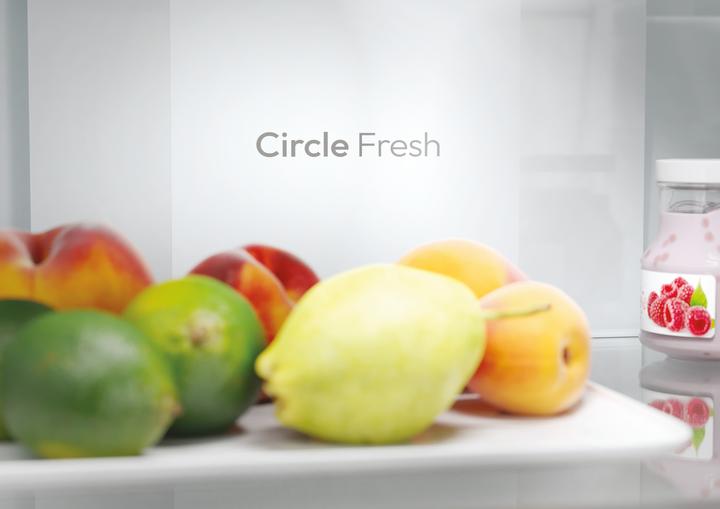 Image du produit Candy CNCQ2T620DX (409 l)