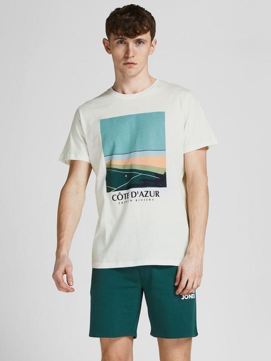 Actual product image Jack & Jones Magazines (L)