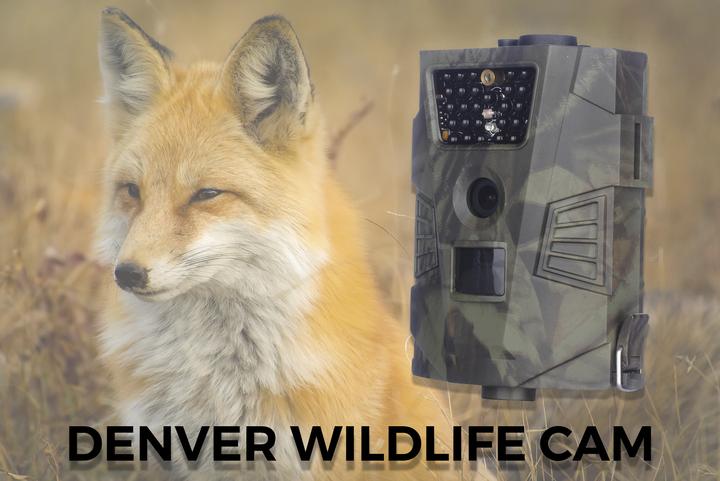 Productafbeelding Denver WCT-5002