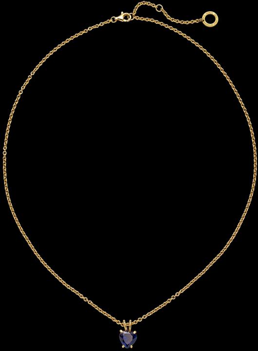 Produktbild Paul Hewitt PH-JE-0148 (Stahl, 45 - 50 cm)