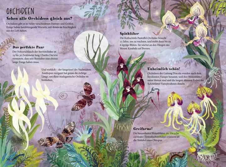Actual product image The great flower magic