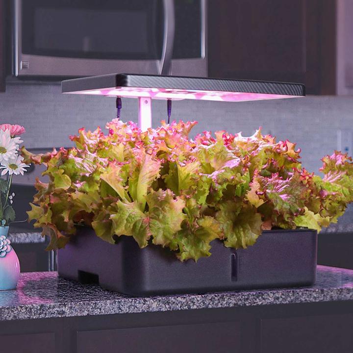Image du produit Litrax LX202 - ROBIN jardin de salades