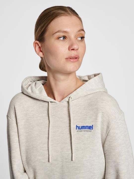 Produktbild hummel Lgc Austin Hoodie (M)