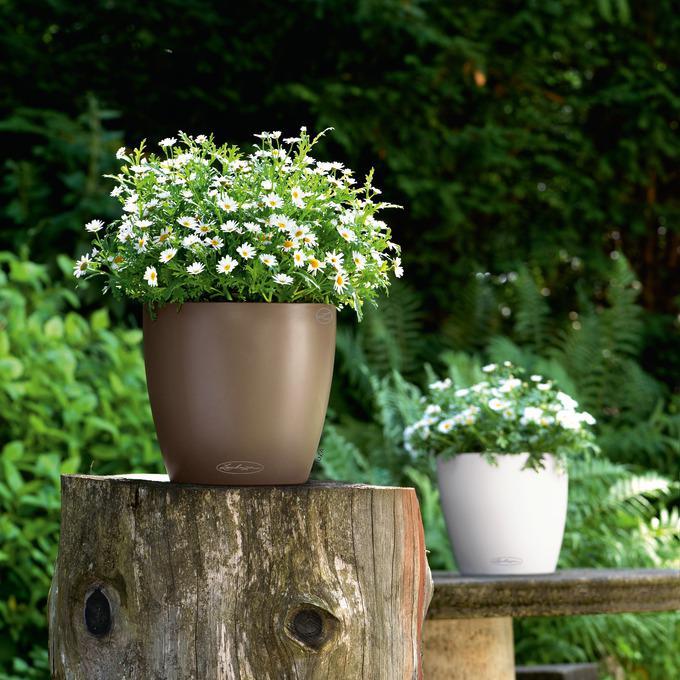 Produktbild Lechuza Classico Color (21.50 cm)