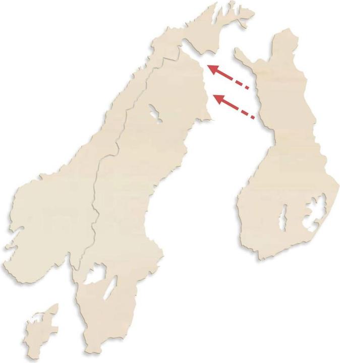 Immagine prodotto Trenddeko Mappa Scandinavia (44 x 55 cm)