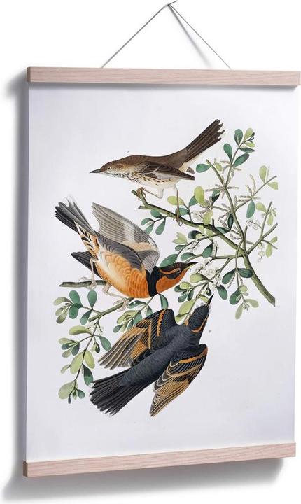 Immagine prodotto Trenddeko Tre strozzatori (50 x 60 cm)