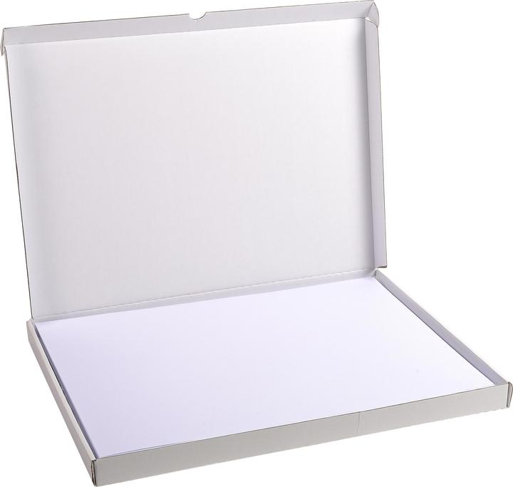 Immagine prodotto Exacompta Schede di valutazione (A3, 205 g/m², 100 x)