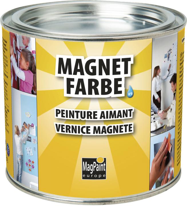 Magpaint Magnetfarbe (Grau, 0.50 l)