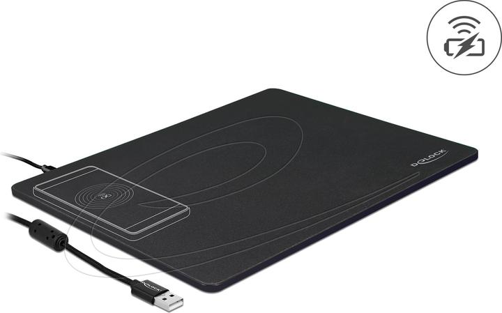 Actual product image Delock 12595 (M)