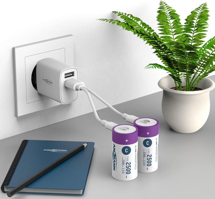 Actual product image Ansmann Baby C (2 pcs., C, 2300 mAh)