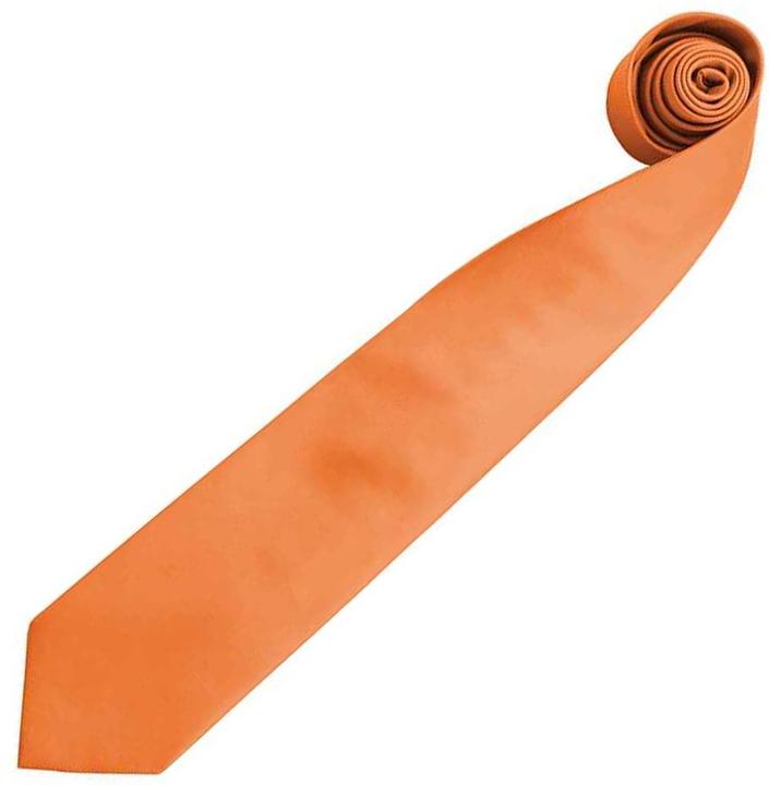 Actual product image Premier Necktie Colours plain