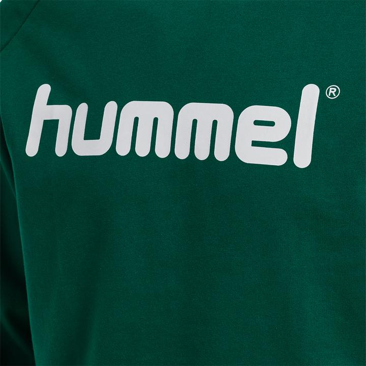 Immagine prodotto hummel Felpa Con Cappuccio Con Logo Go Cotton (S)