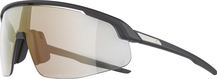 Actual product image ALPINA SPORTS Turbo Pro V (Matt black, Red)