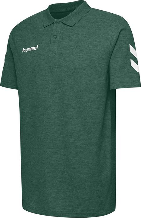 Image du produit hummel Polo En Coton Go Kids (176)