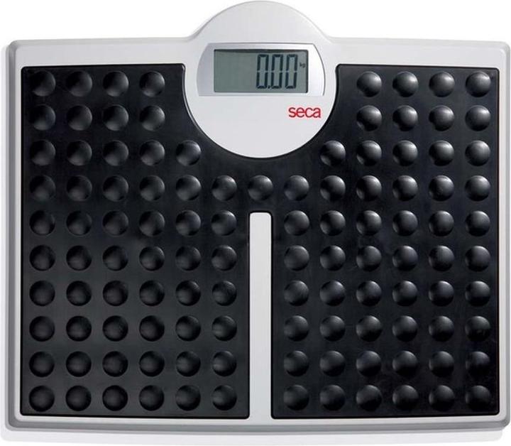 Seca Robusta 813 - Personal scale (200 kg)