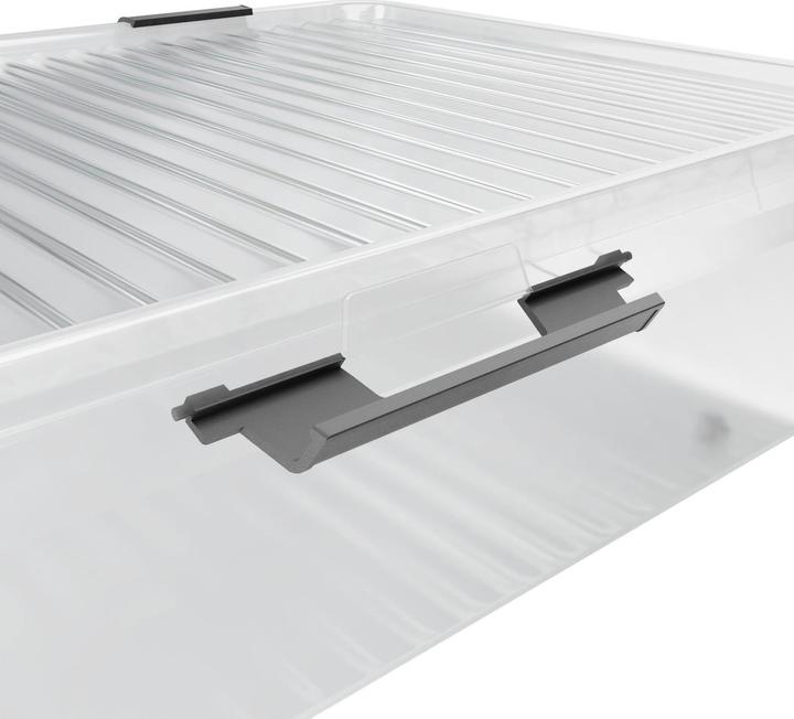 Image du produit Deuba Aufbewahrungsbox (60 x 40 x 17 cm, 24 l)