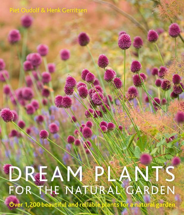 Produktbild Dream Plants for the Natural Garden (Englisch, Gerritsen Henk, Oudolf Piet, 2013)