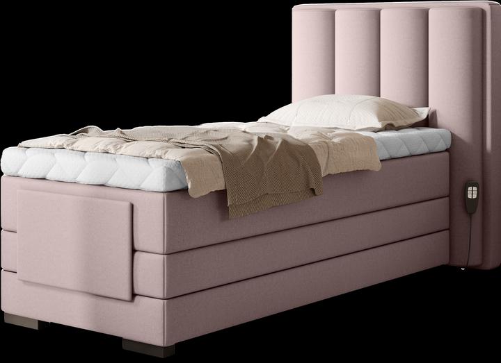 Pink Gojo 101
