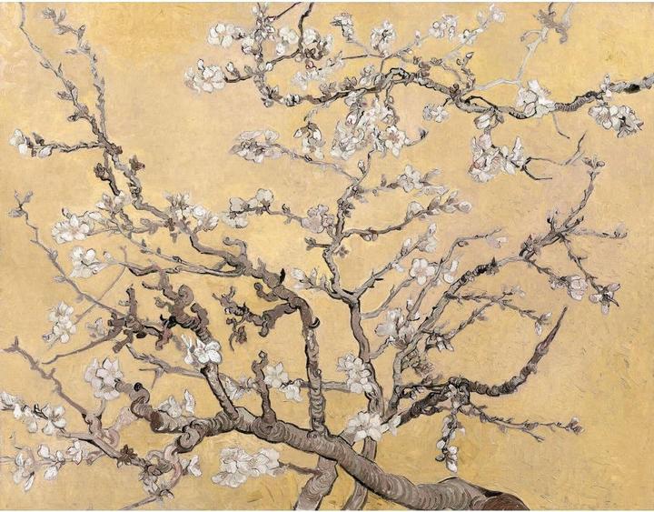 Immagine prodotto Trenddeko van Gogh - Fiori di mandorlo (144 x 260 cm)