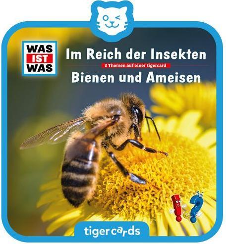 Actual product image Tigermedia Tigercard- What is what: In the realm of insects bees and ants (German)