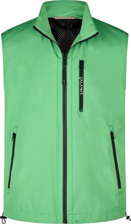 Vert moyen
