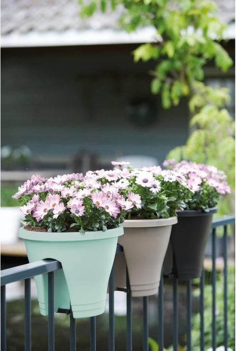 Image du produit Elho Corsica (29 cm)