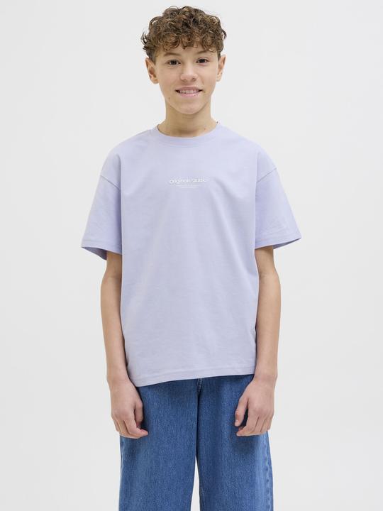 Produktbild Jack & Jones Jorvesterbro Tee Ss Crew Neck Noos Jnr (164)