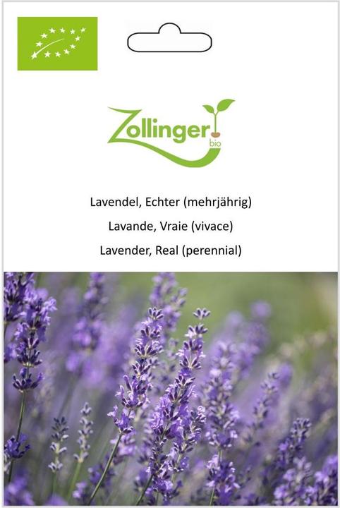 Immagine prodotto Zollinger Bio Lavanda, vera (perenne) (Germogli)