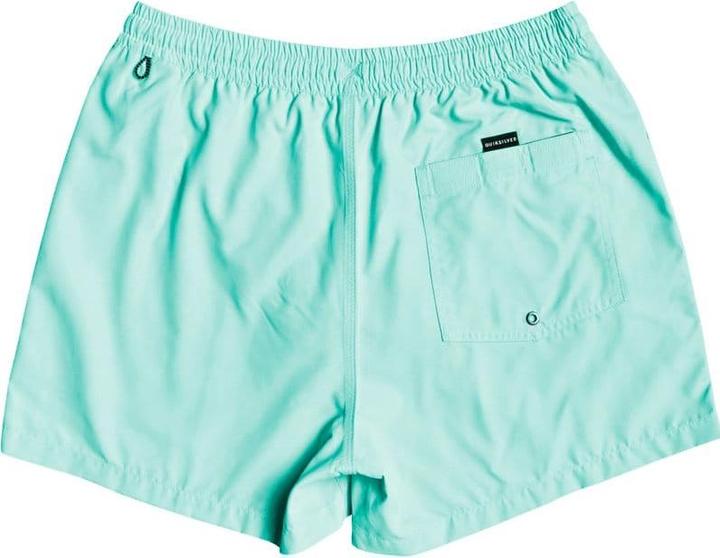Actual product image Quiksilver Everyday Volleys (M)