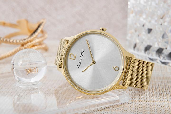 Image du produit Calvin Klein Timeless Mesh Damenuhr 25200003 + BOX (Montre analogique)