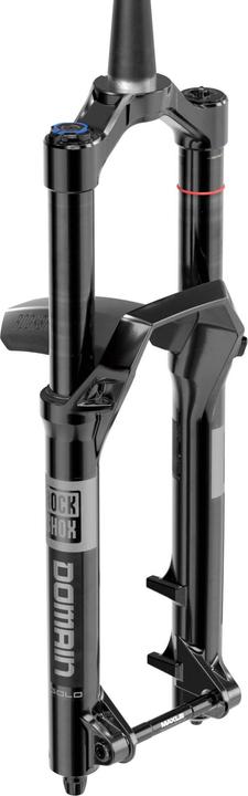 RockShox Domain Gold Isolator RC3 (170 mm, Luft)
