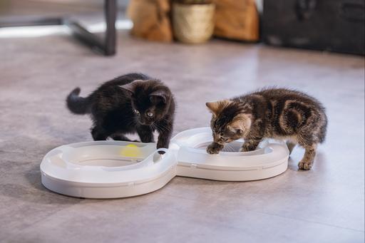 Produktbild Beeztees Bz Kitten Pl Spielschiene Agty (Beschäftigungsspielzeug Katze)