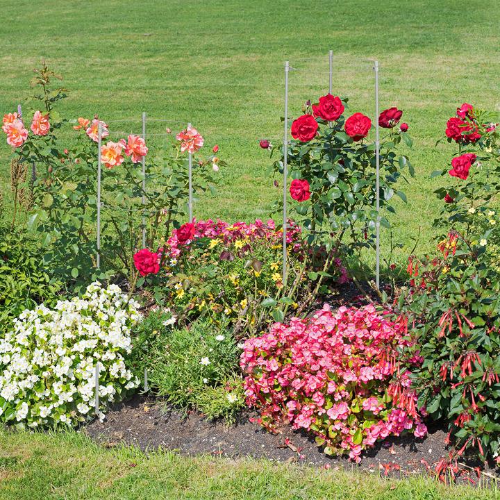 Image du produit Relaxdays Support pour plantes grimpantes (22 cm, 22 cm)