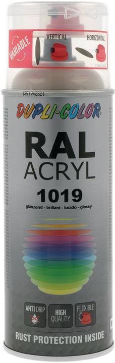 Image du produit Dupli-Color Peinture acrylique brillant RAL 1019 beige gris (beige gris beige, 0.40 l)