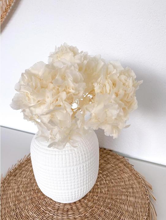 Produktbild Soli Collection Hortensien (Trockenblumen)