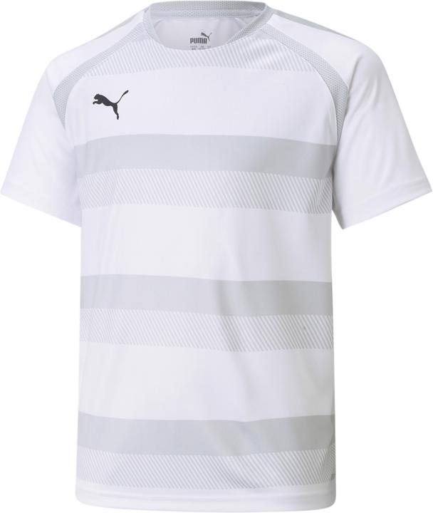 pumawhiteglaciergrayblack