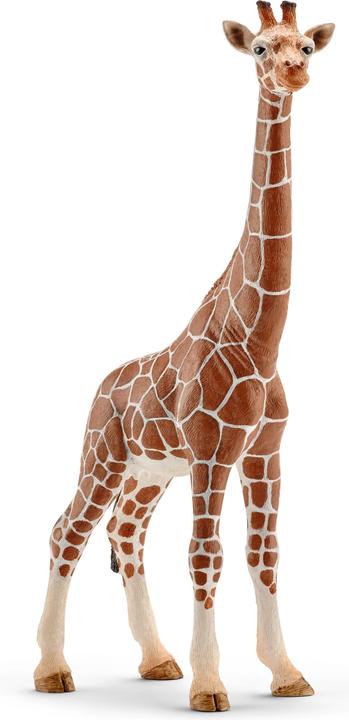 Schleich Girafe femelle