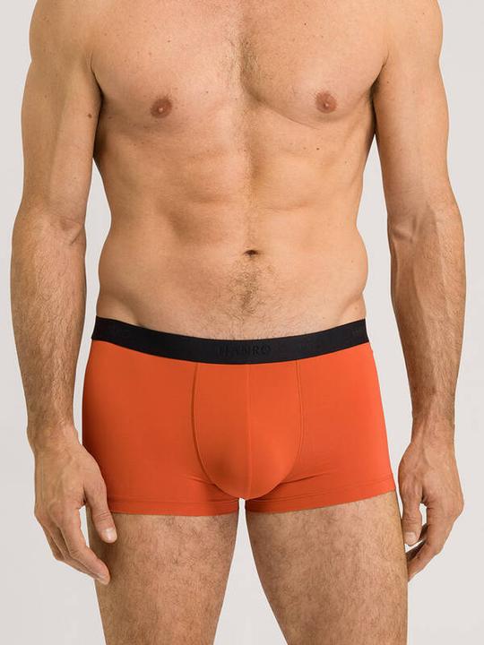 Hanro Micro Touch Pant (S)