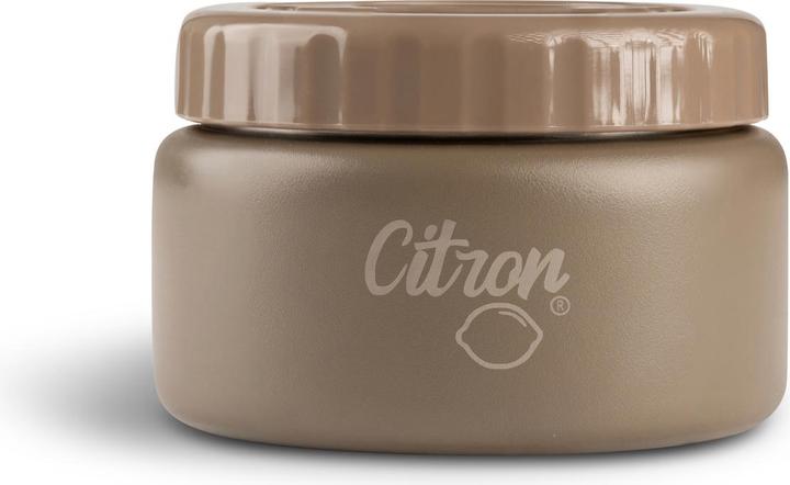 Citron Stainless Steel Food Jar 250ml Brown