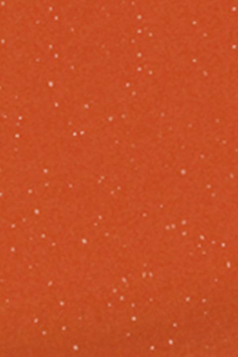 Actual product image Shiseido Lacquer Rouge