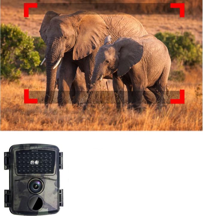 Produktbild Werkstein Mini Wildtier Kamera, 12MP, Nachtsicht