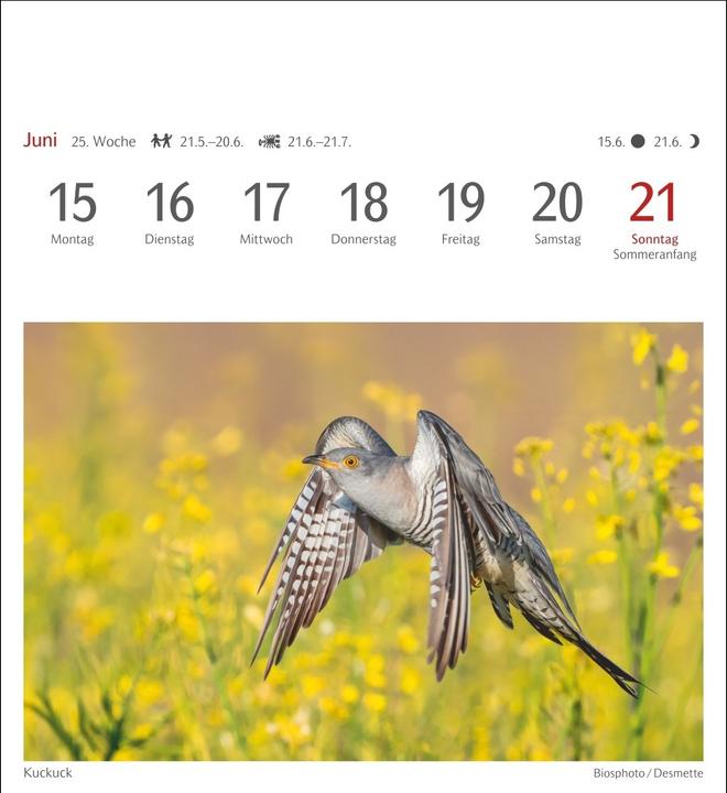 Produktbild Harenberg Heimische Vögel Postkartenkalender 2026 - Wochenkalender mit 53 Postkarten (Deutsch)